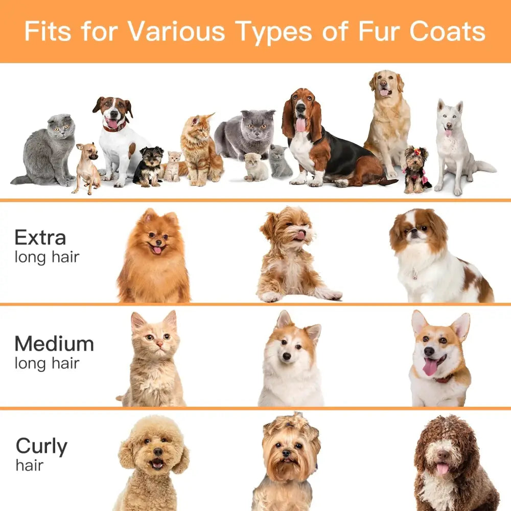 Cats and dogs with various fur types using AIRROBO PG100 Pet Grooming Kit and Vacuum