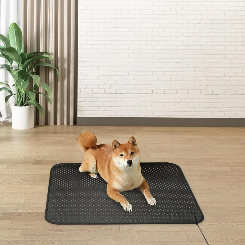 Shiba Inu resting on textured mat with Eco Friendly PU Leather and grounding cord