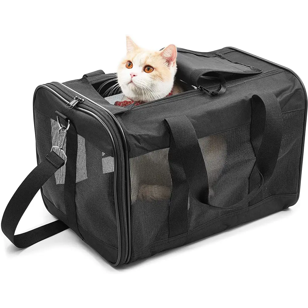 Black Soft-Sided Airline-Approved Pet Carrier with a cat inside by Hitchy