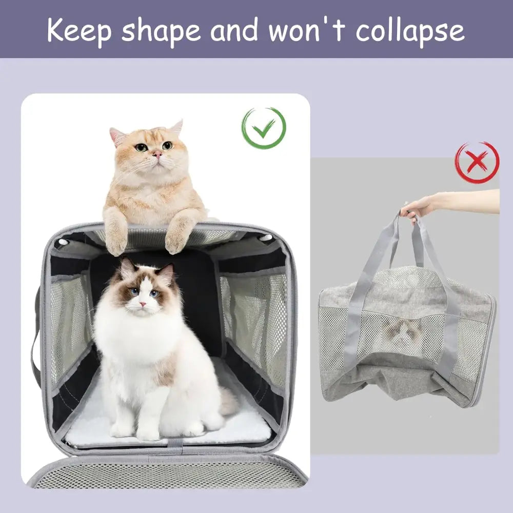 Luxury Airline Approved Pet Carrier with shape retention for comfortable travel