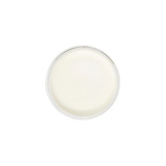 Round container of Organic Olive Oil SPF 30 Natural Sunscreen with white liquid