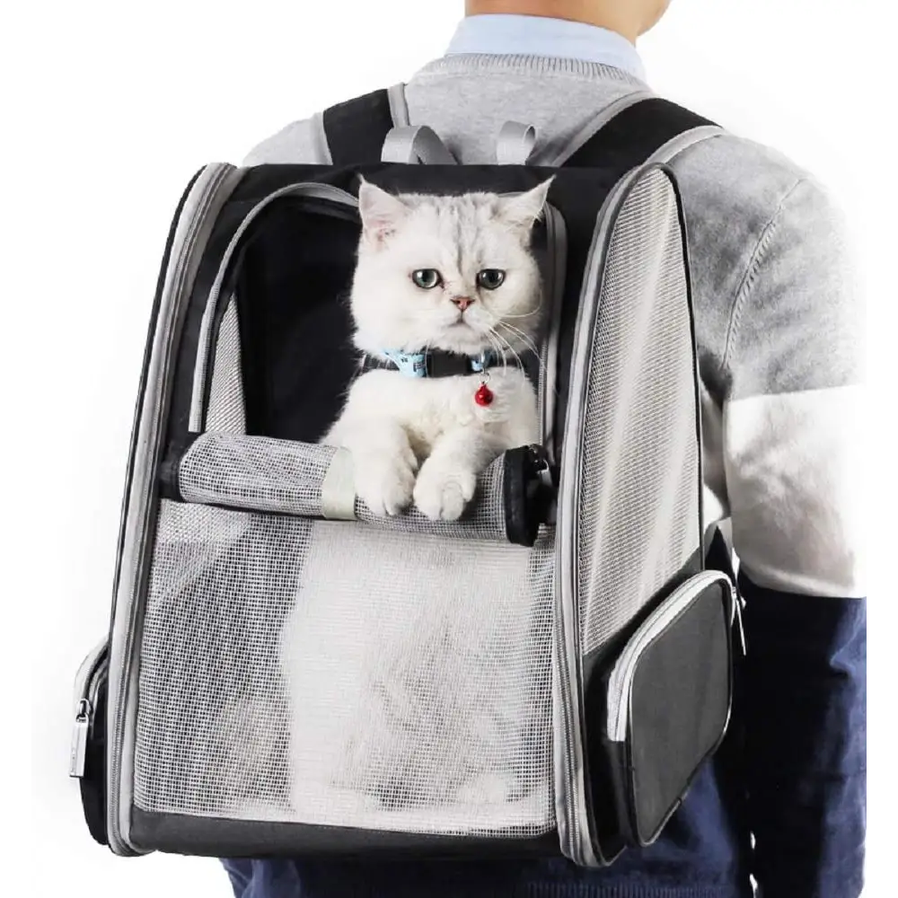 Cat in a mesh backpack showcasing Airline Approved Pet Travel Backpack Comfortable Design
