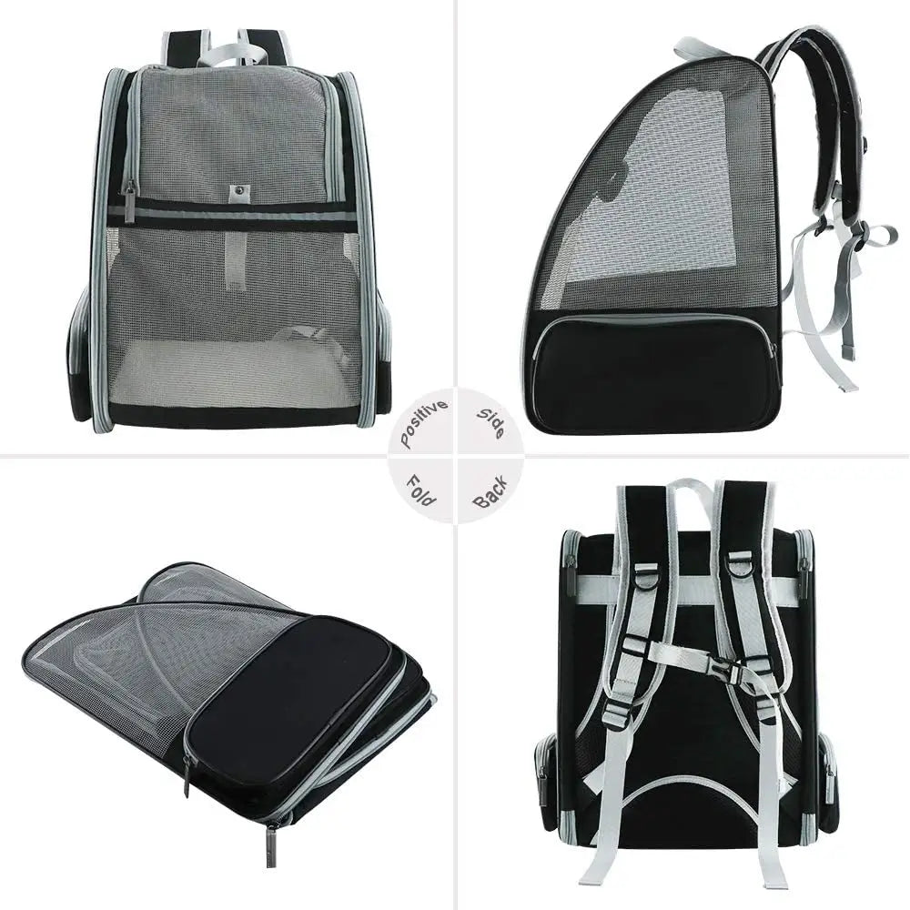 Airline Approved Pet Travel Backpack with mesh panels for comfort and ventilation