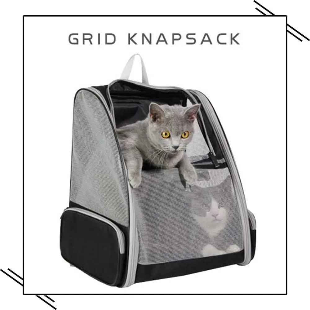 Gray mesh airline approved pet travel backpack with two cats inside for comfortable travel