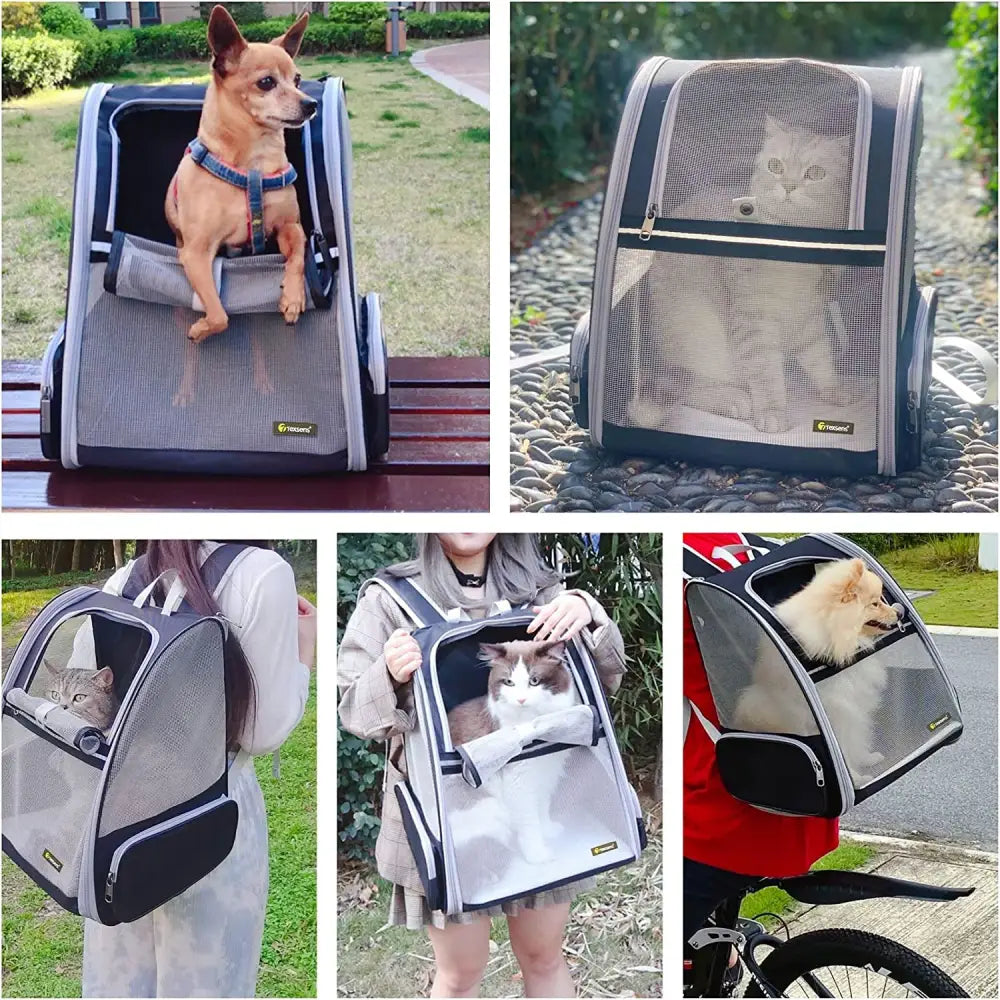 Airline Approved Pet Travel Backpack with Comfortable Design for pets on the go